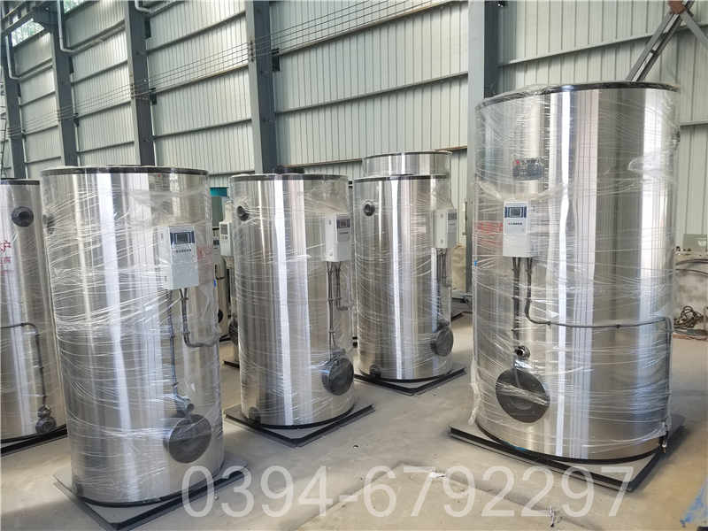 两吨大型热水锅炉(图3)