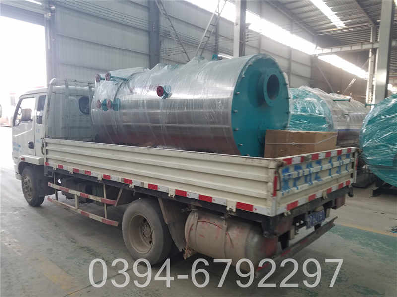 蒸汽工业锅炉(图3)