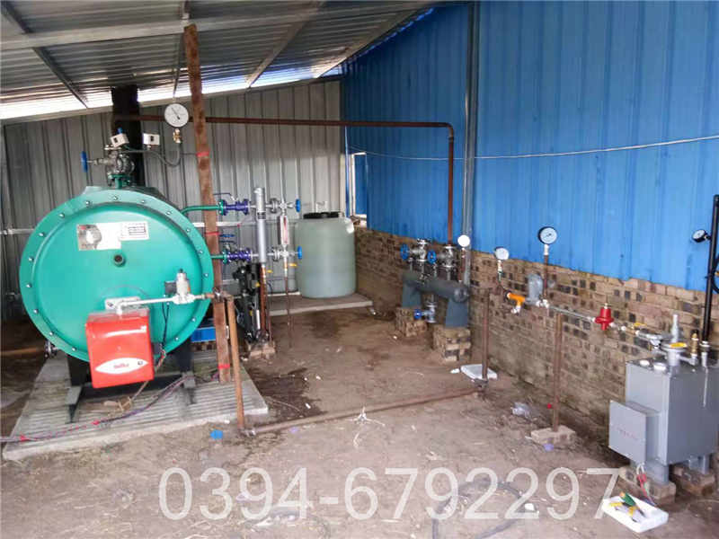 wns燃油气锅炉(图2)