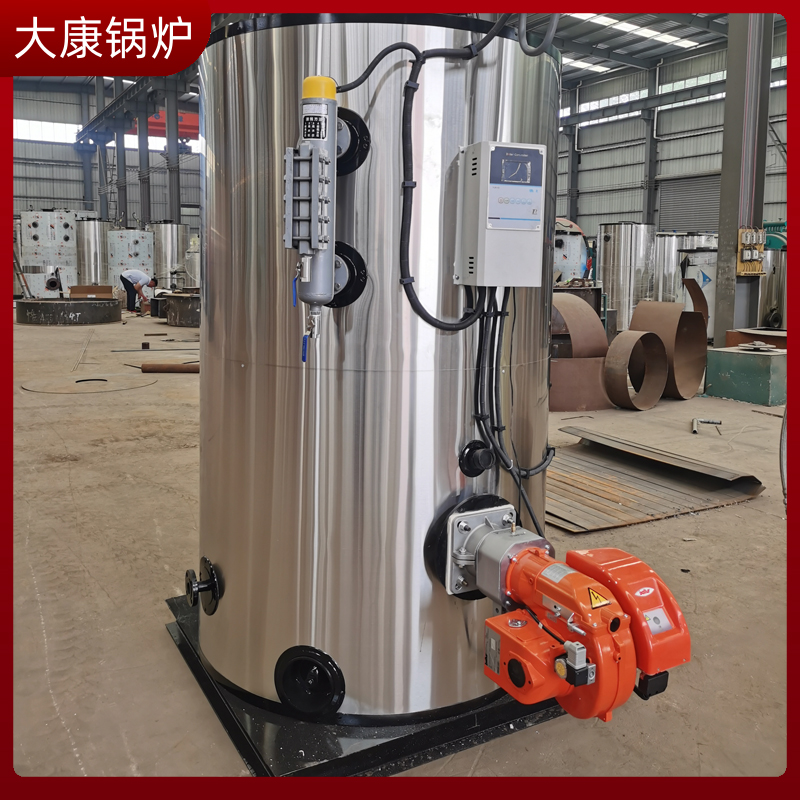 2吨生物质锅炉锅炉河南大康锅炉有限公司cwns锅炉