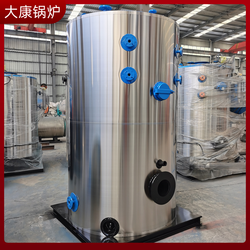 直接燃用生物质锅炉太康县银晨锅炉厂电小型锅炉